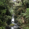Nieuw-Zeeland 2011 - 0127